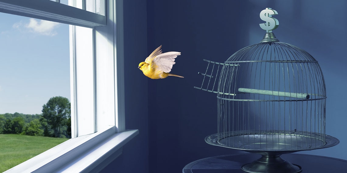 An image of a bird flying out of a window from a cage.